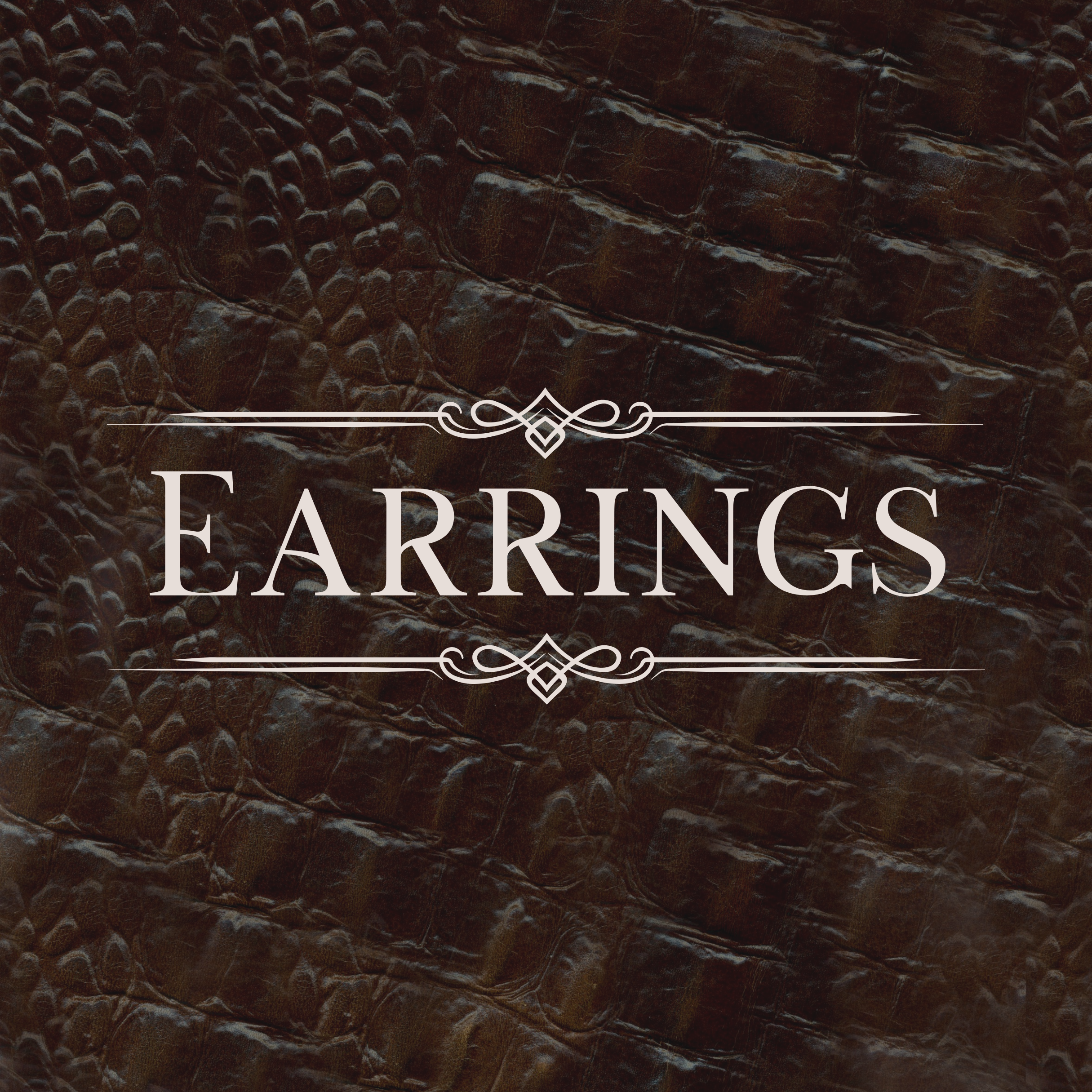 Earrings