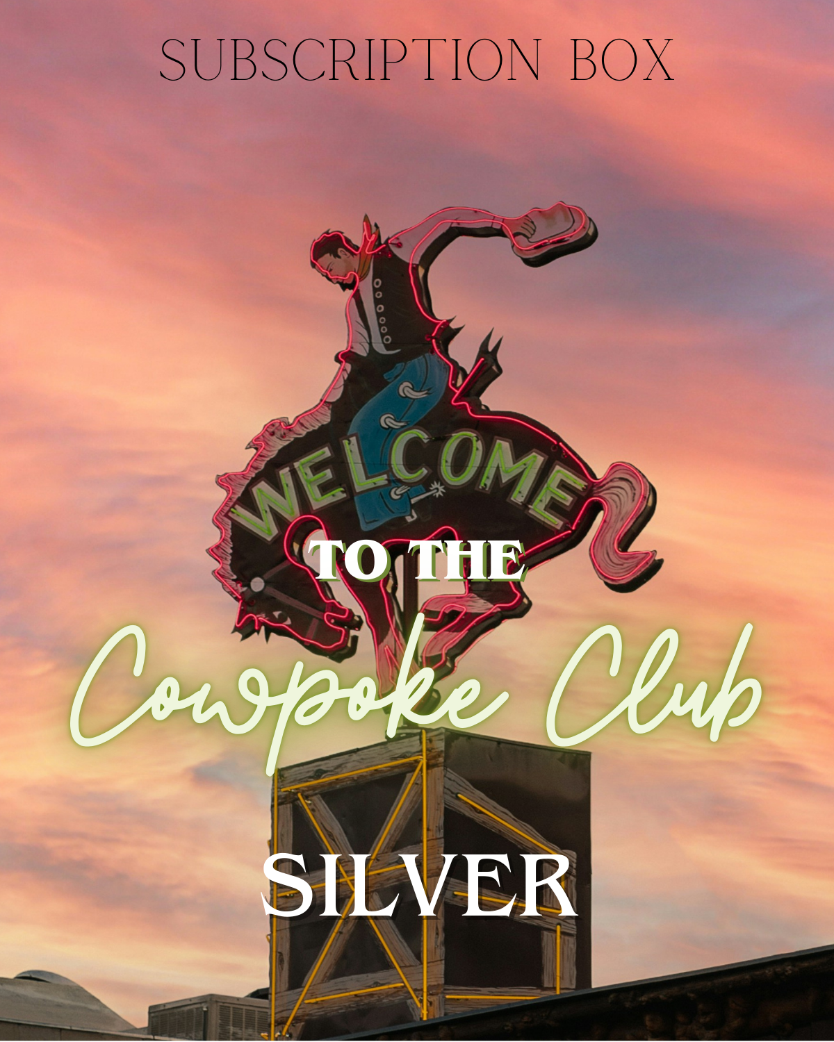 Cowpoke Club Subscription Box - Silver