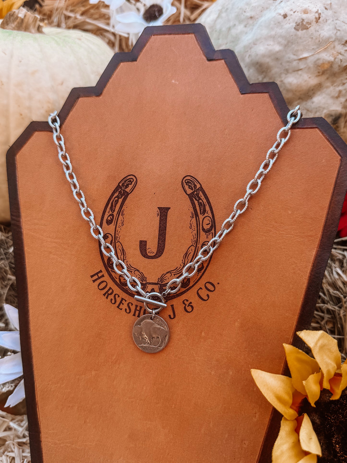 Buffalo Coin Necklace