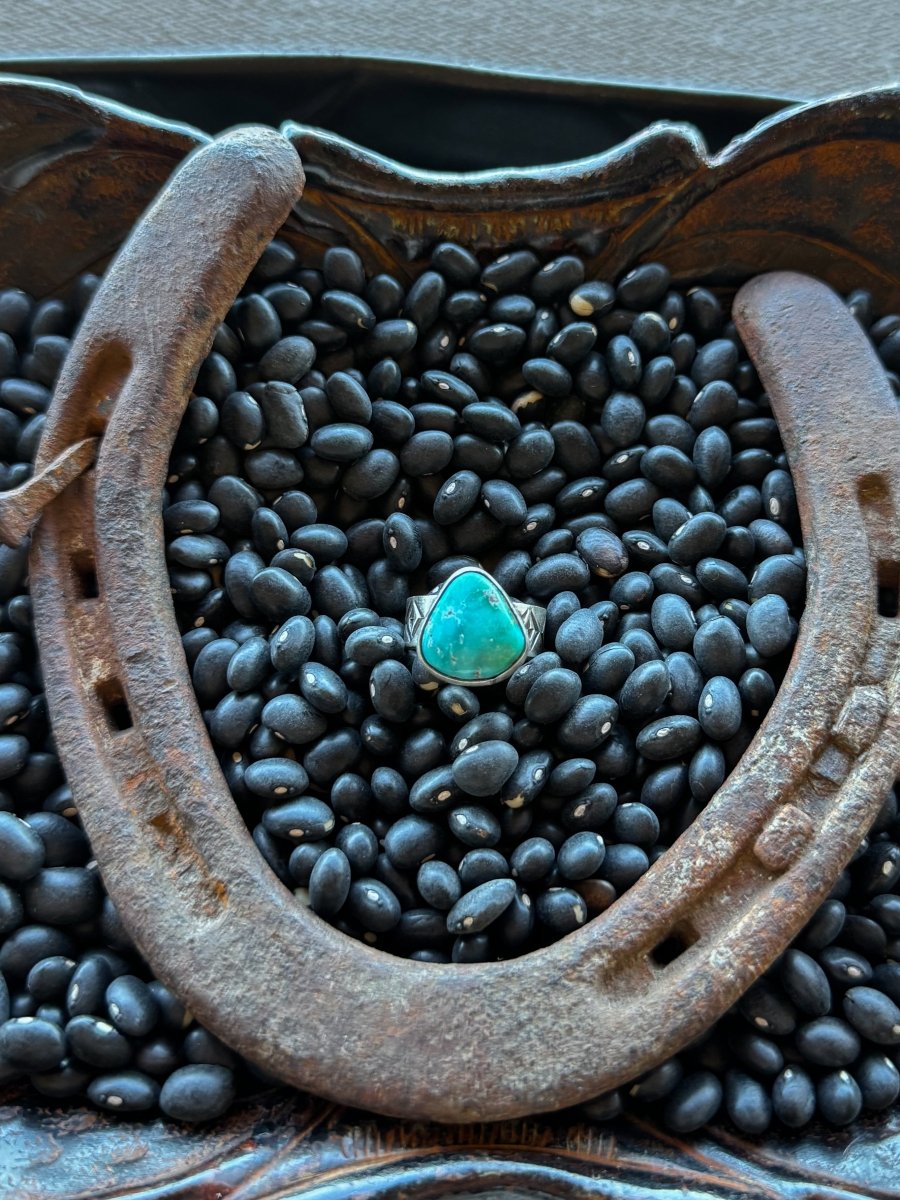 Give it Away Turquoise Ring - Horseshoe J & Co.