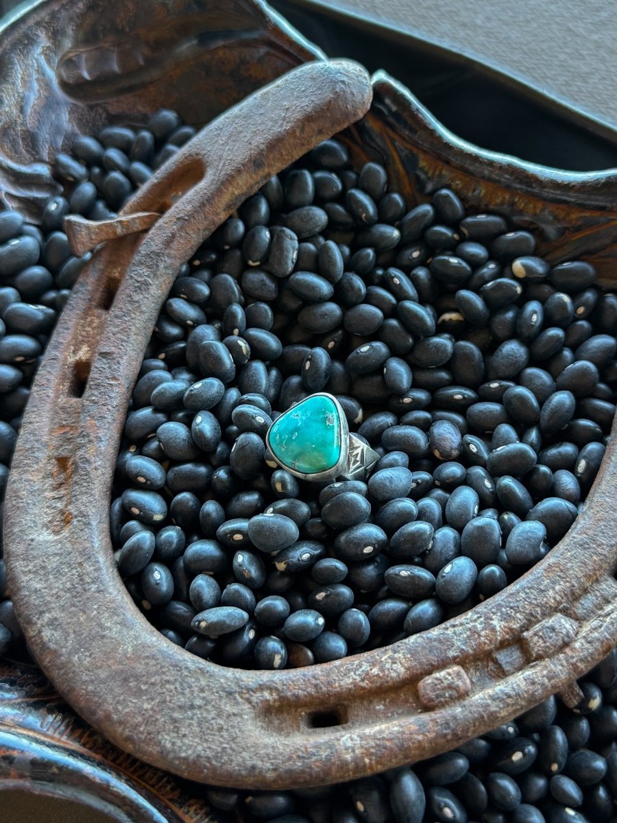 Give it Away Turquoise Ring - Horseshoe J & Co.